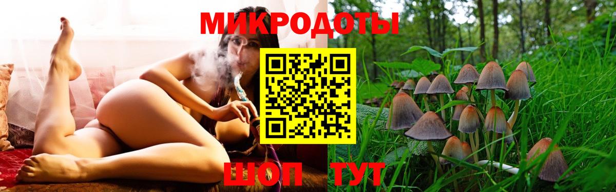 Кондопога  Псилоцибиновые грибы мицелий  закладки  Вход с VPN  Псилоцибиновые грибы мицелий 